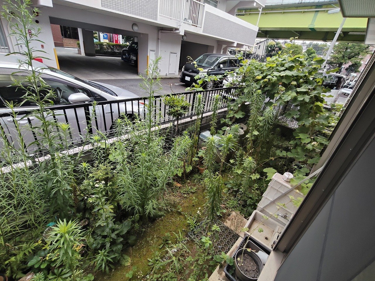 隣地駐車場に隣接のため解放感あります♪
