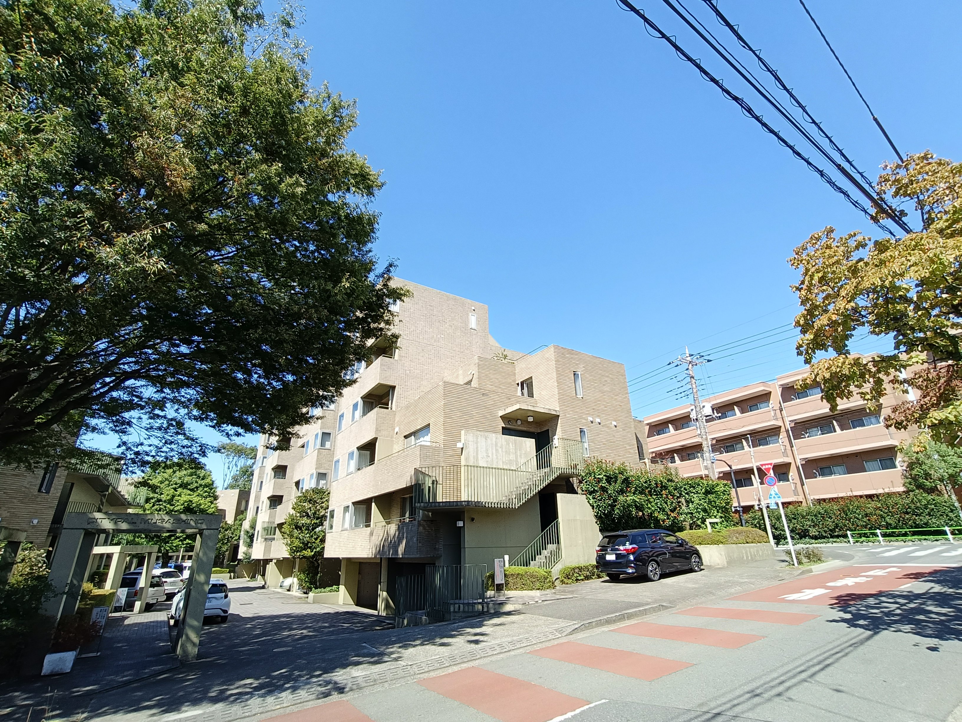 近代建築の五原則が生む、心地よく整った暮らし。